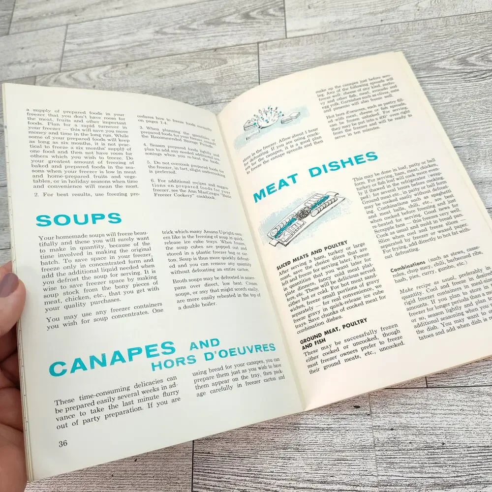 Amana Complete Guide to FOOD FREEZING Cookbook Booklet Retro Cooking Food Storag